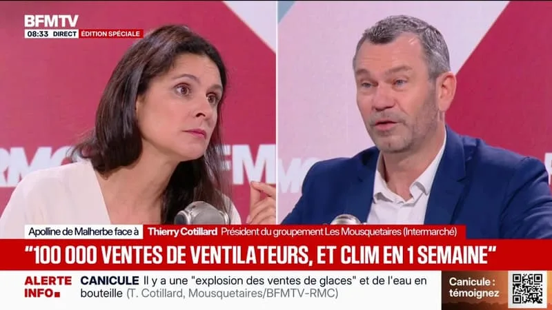 CANICULE: THIERRY COTILLARD, PRÉSIDENT DU GROUPEMENT LES MOUSQUETAIRES ANNONCE « 100.000 VENTES DE VENTILATEURS ET DE CLIM » EN UNE SEMAINE