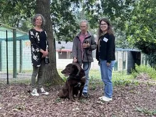 DAVANTAGE D’ABANDONS, MOINS D’ADOPTIONS ET DE DONS : COMMENT CE REFUGE POUR CHIENS TENTE DE FAIRE FACE EN ANJOU