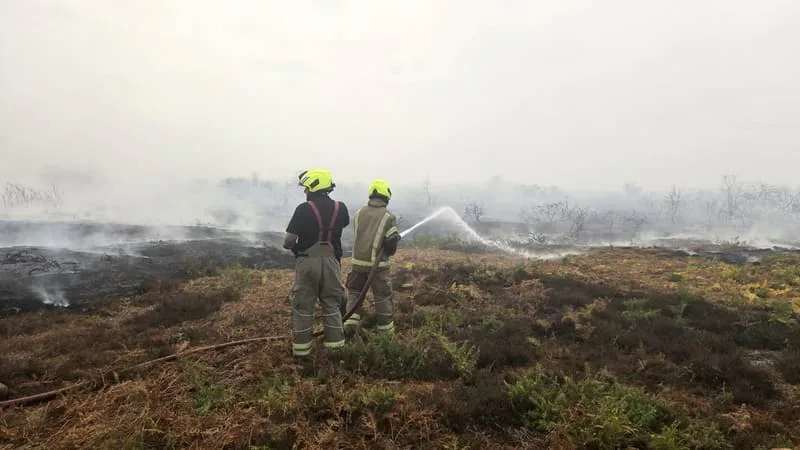 LES POMPIERS BRITANNIQUES LUTTENT CONTRE UN INCENDIE QUI A DÉJÀ PARCOURU UNE CENTAINE D’HECTARES DANS L’EST DE L’ANGLETERRE
