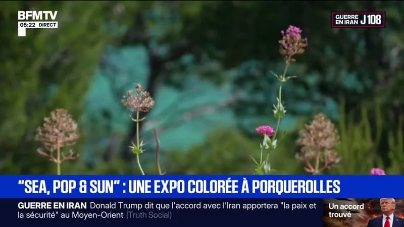 « SEA, POP AND SUN »: UNE EXPO POP ART À VOIR PIEDS NUS SUR L’ÎLE DE PORQUEROLLES