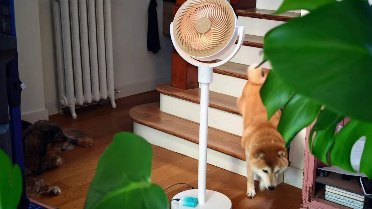 TEST DU SWITCHBOT STANDING CIRCULATOR FAN : UN VENTILATEUR CONNECTÉ, NOMADE ET DISCRET