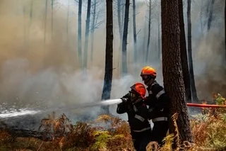 INCENDIES : INDIVIDUS FRAGILES OU NÉGLIGENTS, POMPIERS… LES PROFILS DERRIÈRE LES 184 PREMIERS INTERPELLÉS DE L’ÉTÉ