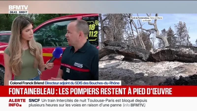 FONTAINEBLEAU: « LA PLUIE NE NOUS A PAS AIDÉ », ASSURE LE COLONEL FRANCK BRIEND (SDIS BOUCHES-DU-RHÔNE)