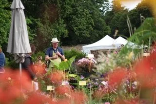 FÊTES DU JARDIN ET FOIRES AUX PLANTES : NOTRE SÉLECTION DE SIX ÉVÉNEMENTS À NE PAS MANQUER EN AOÛT