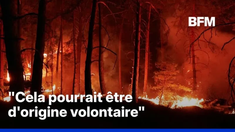 L’INCENDIE DE LA FORÊT DE FONTAINEBLEAU POURRAIT « ÊTRE D’ORIGINE VOLONTAIRE », SELON LE MINISTRE DE L’INTÉRIEUR