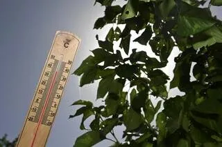 CANICULE DE MAI 2026 : UNE HAUSSE « DES RECOURS AUX SOINS D’URGENCE » OBSERVÉE PAR LES AUTORITÉS SANITAIRES