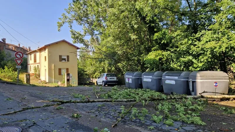COUPURES D’ÉLECTRICITÉ, CHUTES D’ARBRES, VENTS TOURBILLONNAIRES: DANS LE RHÔNE, LES DÉGÂTS SONT NOMBREUX SUITE AUX FORTES PLUIES