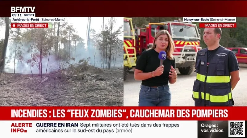 INCENDIES DE FONTAINEBLEAU: « ON CONTINUE DE LUTTER CONTRE D’ÉVENTUELLES REPRISES DE FEU », ASSURE LE CHEF DU SERVICE COMMUNICATION DES POMPIERS DE SEINE-ET-MARNE