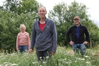 REPORTAGE. LA TISANE EST DE RETOUR : DU CHAMP À LA TASSE, CES PASSIONNÉS DÉFENDENT LEUR PRODUCTION FRANÇAISE