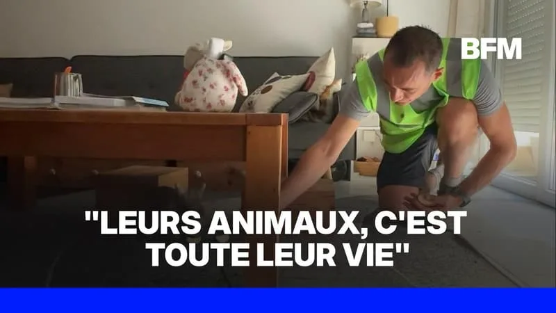 INCENDIES EN GIRONDE: DES ÉLUS VIENNENT EN AIDE AUX ANIMAUX RESTÉS DANS LES VILLES ÉVACUÉES