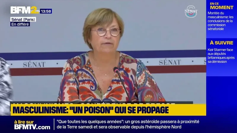 MASCULINISME ET RÉSEAUX SOCIAUX: DES SÉNATRICES ALERTENT SUR UNE « BANALISATION » DES CONTENUS « DANGEREUSE POUR NOS ENFANTS »