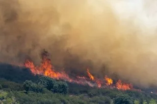 29 000 HECTARES BRÛLÉS, 600 PERSONNES MOBILISÉES… CES CHIFFRES QUI MONTRENT L’AMPLEUR DE L’INCENDIE AU NORD DE MADRID