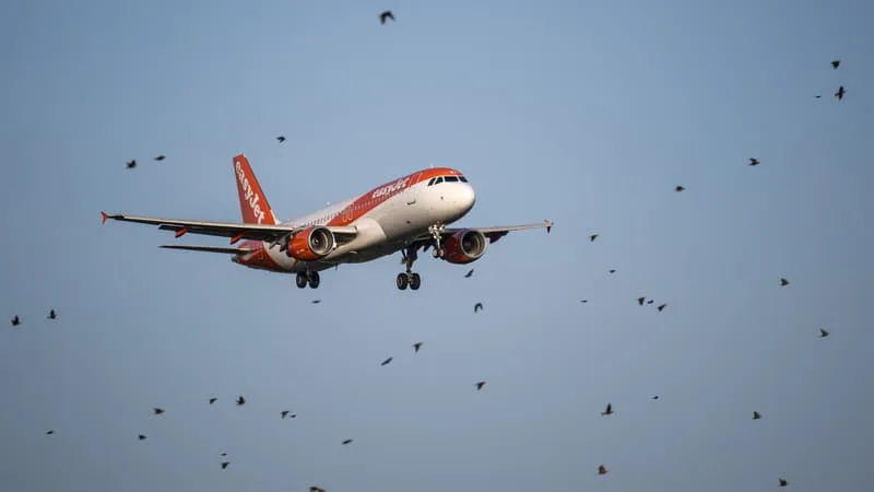 LE RACHAT D’EASYJET PAR UN FONDS AMÉRICAIN BLOQUÉ? BRUXELLES PRÉPARE UN DURCISSEMENT DES RÈGLES DE PROPRIÉTÉ DES COMPAGNIES AÉRIENNES POUR ÉVITER QUE LES INVESTISSEURS ÉTRANGERS N’EN DÉTIENNENT UN CONTRÔLE TOTAL