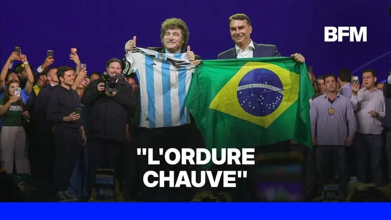 LE BRÉSIL RAPPELLE SON AMBASSADEUR EN ARGENTINE APRÈS DES « PROPOS OFFENSANTS » DE JAVIER MILEI