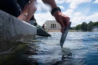 APRÈS L’INVASION D’ALGUES AU MIROIR D’EAU DE WASHINGTON, DONALD TRUMP ACCUSE SES OPPOSANTS « D’EXTRÊME GAUCHE »