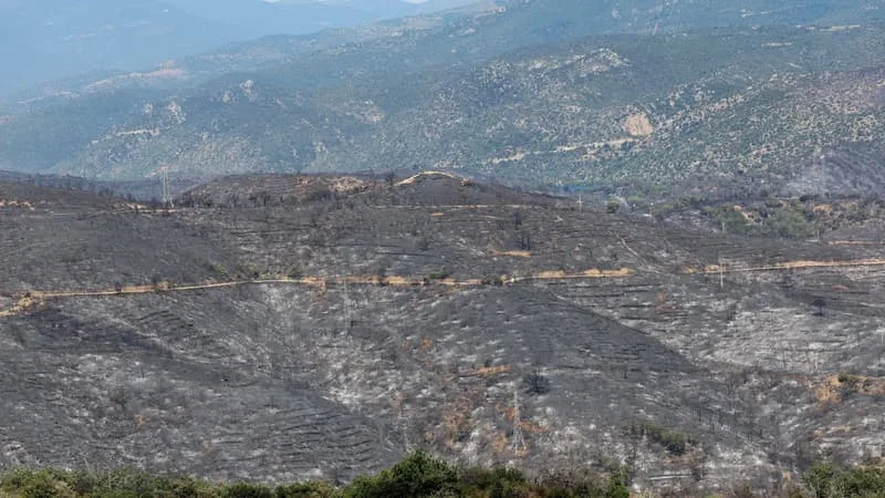FEUX DE FORÊT: L’INCENDIE DE TRÉVILLACH DANS LES PYRÉNÉES-ORIENTALES EST DÉSORMAIS FIXÉ