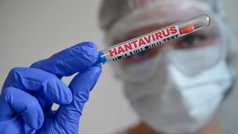 DIRECT. HANTAVIRUS: LE MV HONDIUS FAIT ROUTE VERS LES PAYS-BAS APRÈS L’ÉVACUATION DES PASSAGERS, LA PATIENTE FRANÇAISE TESTÉE POSITIVE TOUJOURS EN RÉANIMATION