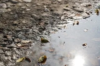 LA MARNE TOUCHÉE PAR UNE POLLUTION APRÈS LE DÉVERSEMENT DE 3 000 LITRES DE FIOUL, UN SITE DE BAIGNADE FERMÉ