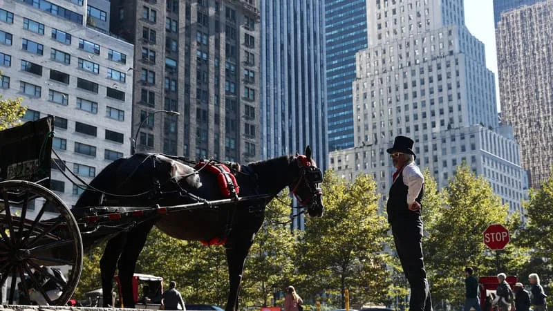 UN JEUNE HOMME DE 18 ANS MEURT DANS UN ACCIDENT DE CALÈCHE À CENTRAL PARK, À NEW YORK