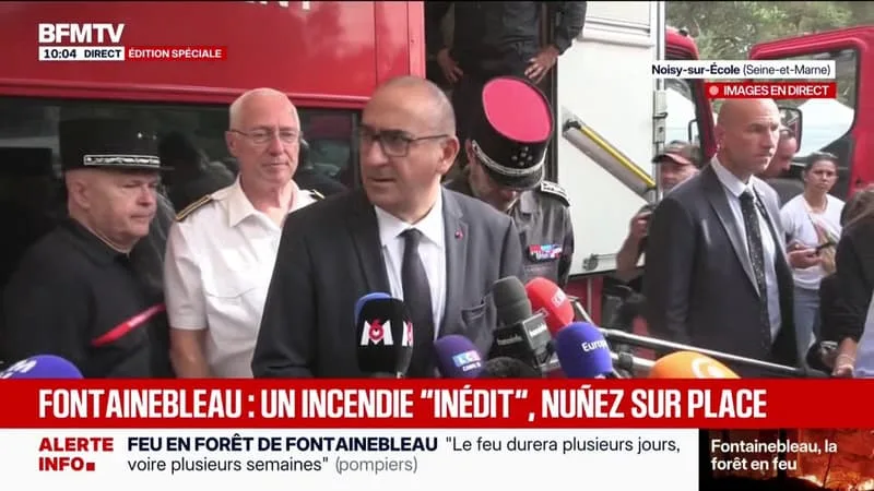 INCENDIE DE FONTAINEBLEAU: « UNE ORIGINE VOLONTAIRE » DU FEU EST SUPPOSÉE PAR LE MINISTRE DE L’INTÉRIEUR, UNE ENQUÊTE EN COURS