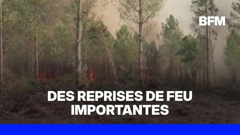 INCENDIE EN GIRONDE: À BLAGON, UNE REPRISE DE FEU EST EN COURS