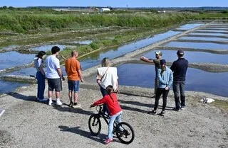 DES SALINES À VISITER PLEIN LES MARAIS SUR LA CÔTE D’AMOUR
