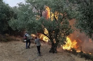 INCENDIES : EN GRÈCE, LA LUTTE CONTRE LES FEUX RESTE UN DÉFI MAJEUR