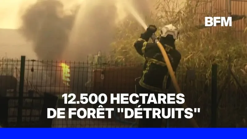 INCENDIES EN FRANCE: LA PRÉFECTURE DE GIRONDE ANNONCE 12.500 HECTARES DE FORÊT « DÉTRUITS » ET 44.000 ÉVACUÉS