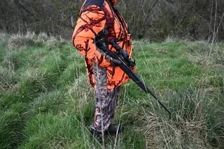 INTERDIRE LA CHASSE DANS LES ZONES SINISTRÉES PAR LES INCENDIES ? UNE PROPOSITION « RIDICULE », SELON LES CHASSEURS