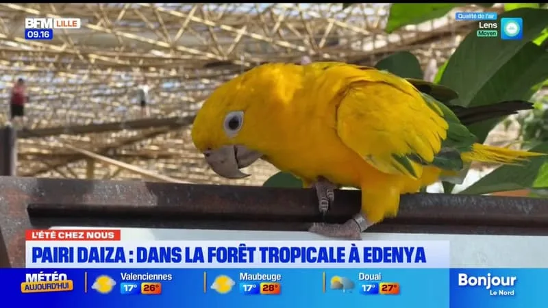 L’ETÉ CHEZ NOUS À PAIRI DAIZA