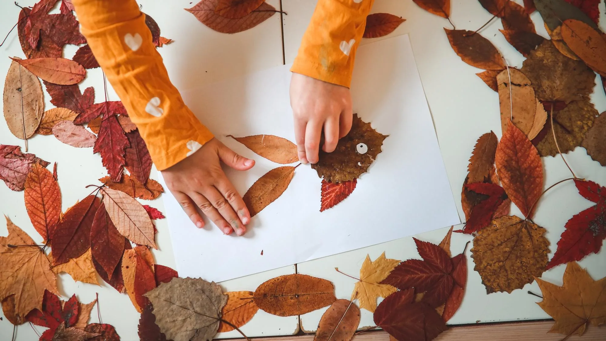 VACANCES DE LA TOUSSAINT : CINQ ACTIVITÉS D’AUTOMNE POUR OCCUPER LES ENFANTS
