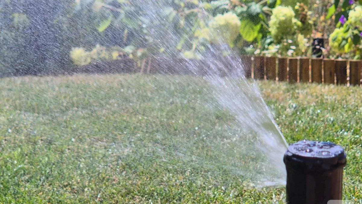 VOUS PARTEZ BIENTÔT EN VACANCES ? VOICI COMMENT AUTOMATISER ET CONNECTER L’ARROSAGE DE VOS PLANTES