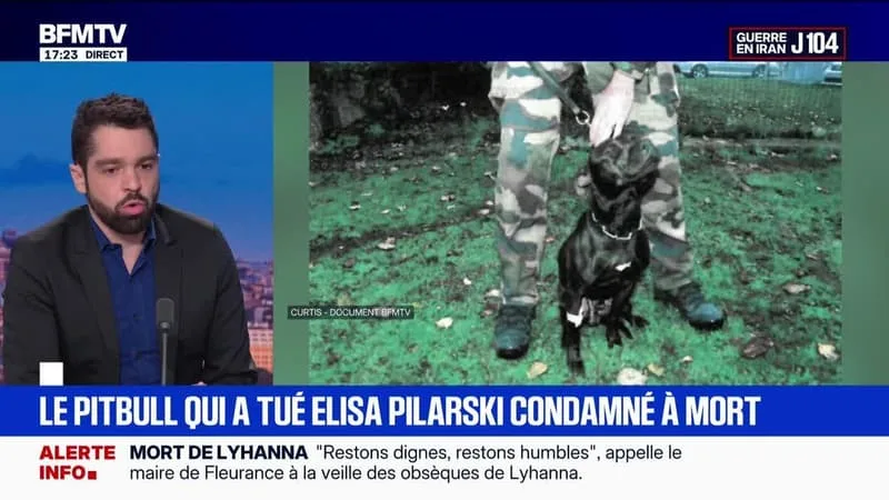 MARSCHALL TRUCHOT : LE PITBULL QUI TUÉ ELISA PILARSKI CONDAMNÉ À MORT – 11/06
