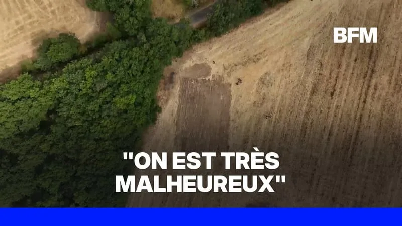 AFFAIRE JUBILLAR: LES PROPRIÉTAIRES DU CHAMP SUR LEQUEL DES OSSEMENTS ONT ÉTÉ TROUVÉS N’ONT « JAMAIS RIEN VU »