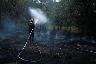 INFOGRAPHIE. FEUX DE FORÊTS : COMMENT LA CANICULE ET LE RÉCHAUFFEMENT CLIMATIQUE FONT EXPLOSER LES RISQUES