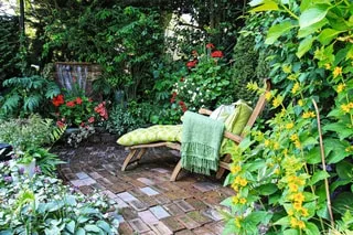 VOTRE JARDIN EST À L’OMBRE ? VOICI NOTRE SÉLECTION DE PLANTES ADAPTÉES POUR UN JOLI JARDIN FLEURI