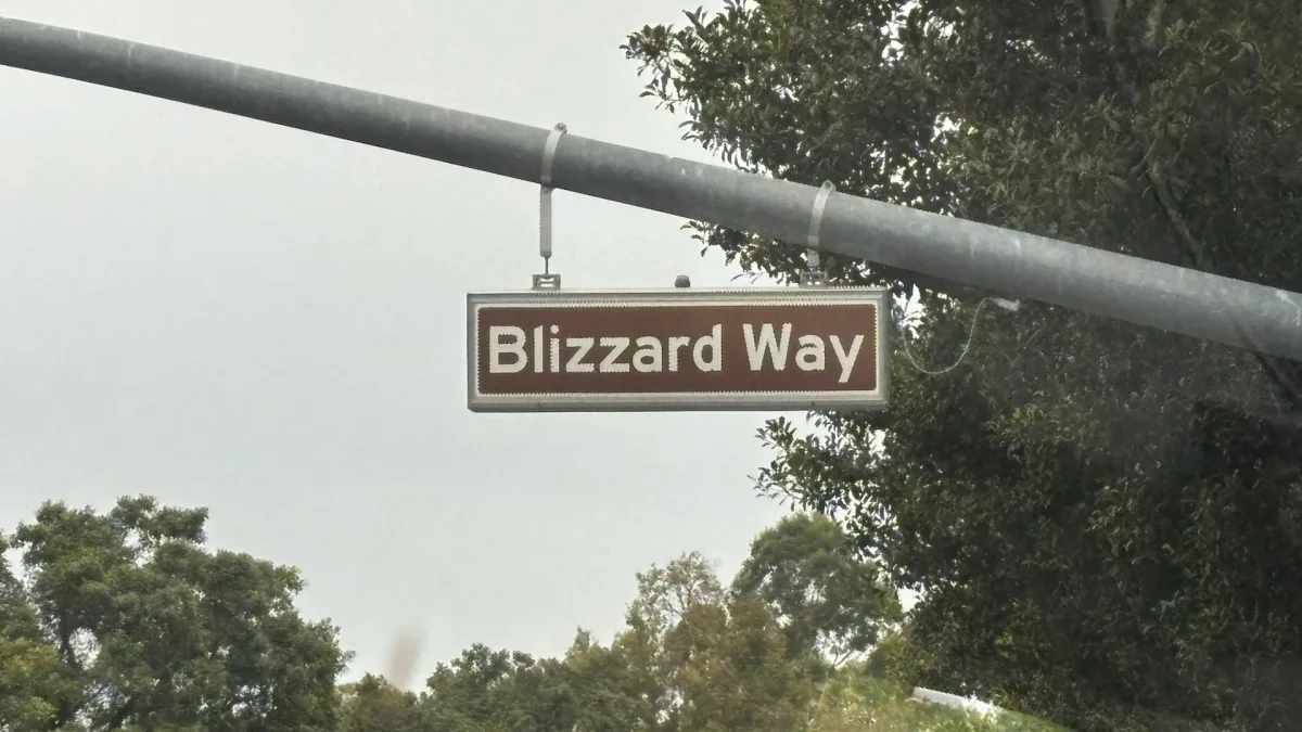 BLIZZARD ENTERTAINMENT EST UNE LUEUR D’ESPOIR DANS LA PÉRIODE MOROSE TRAVERSÉE PAR XBOX