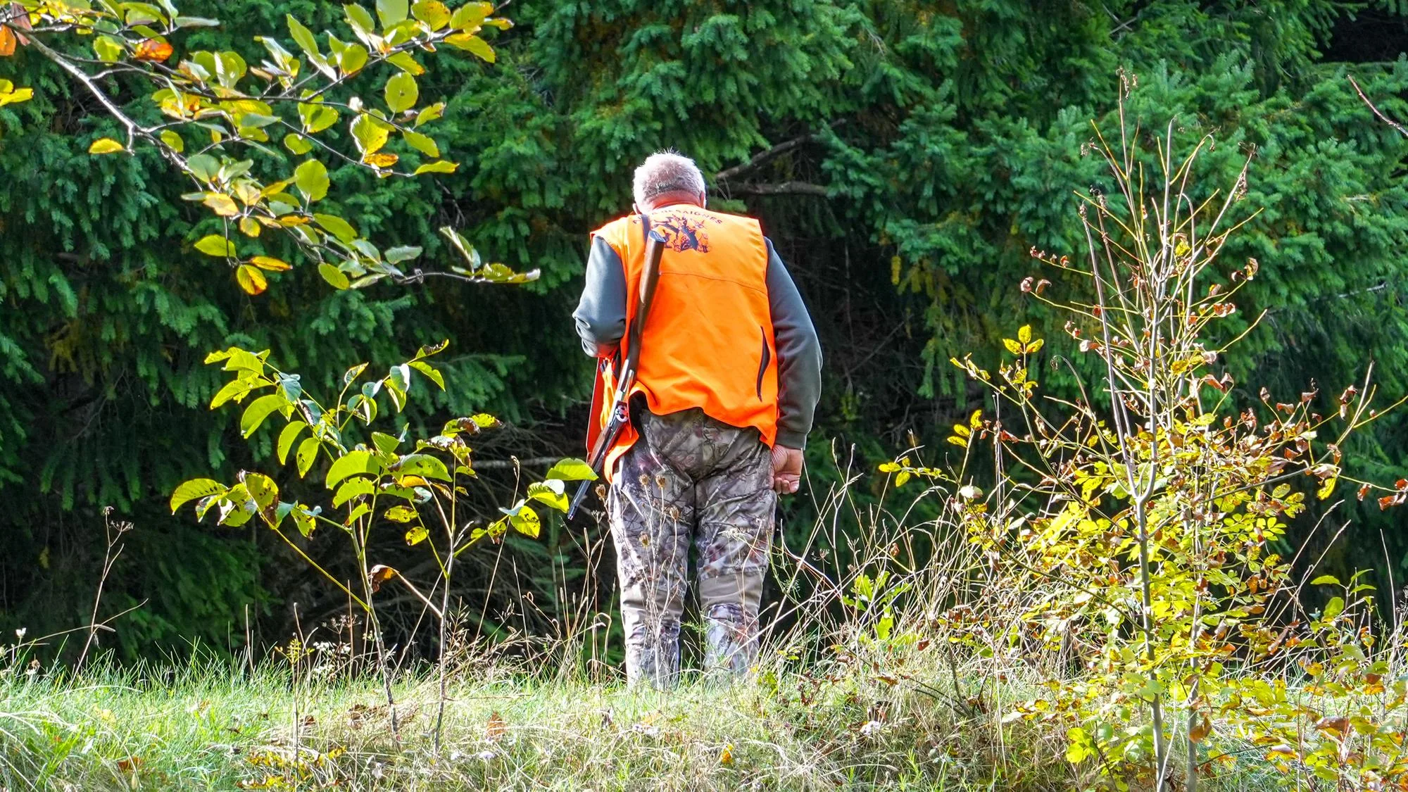 APRÈS LES INCENDIES, LA CHASSE INTERDITE ? LE GOUVERNEMENT LAISSE LA DÉCISION AUX PRÉFETS