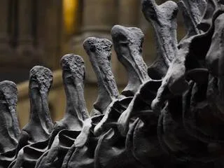 « UNE PIÈCE UNIQUE AU MONDE » : UN SAC À MAIN EN CUIR DE T-REX MIS AUX ENCHÈRES À PARIS