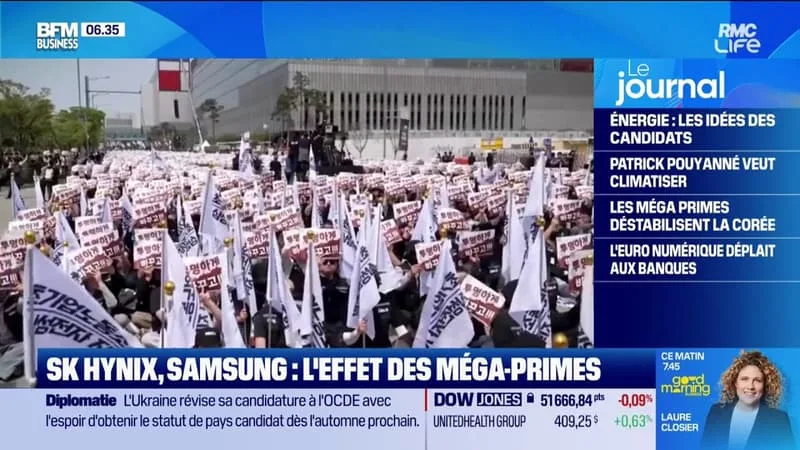 LES PUCES FONT FLAMBER LE LUXE