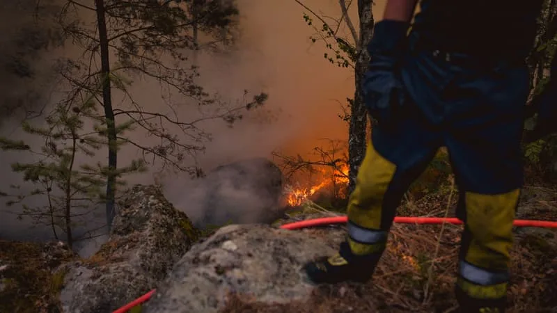 INCENDIES À FONTAINEBLEAU : OUVERTURE D’UNE INFORMATION JUDICIAIRE CONCERNANT LE FEU INITIAL, TROIS PERSONNES PRÉSENTÉES À UN JUGE