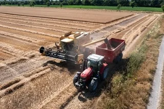 DÉJÀ TERMINÉE EN FRANCE, LA MOISSON DE CÉRÉALES CACHE DE BONNES SURPRISES, MAIS PAS DANS TOUTES LES RÉGIONS