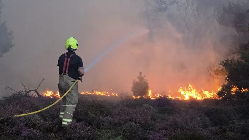 EDF EXPLOITE L’UNE DES DEUX CENTRALES, L’AUTRE EST EN CONSTRUCTION: L’INCENDIE DANS L’EST DE L’ANGLETERRE NE MENACE PAS LES DEUX SITES NUCLÉAIRES À PROXIMITÉ