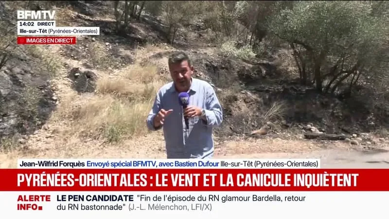 PYRÉNÉES-ORIENTALES: LA CRAINTE DES REPRISES DE FEU AVEC PLUS DE 40 DEGRÉS À L’OMBRE
