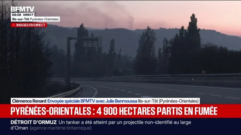 L’INCENDIE DANS LES PYRÉNÉES-ORIENTALES A PARCOURU AU MOINS 4.900 HECTARES